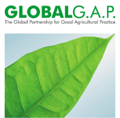 certificado internacional GLOBAL GAP