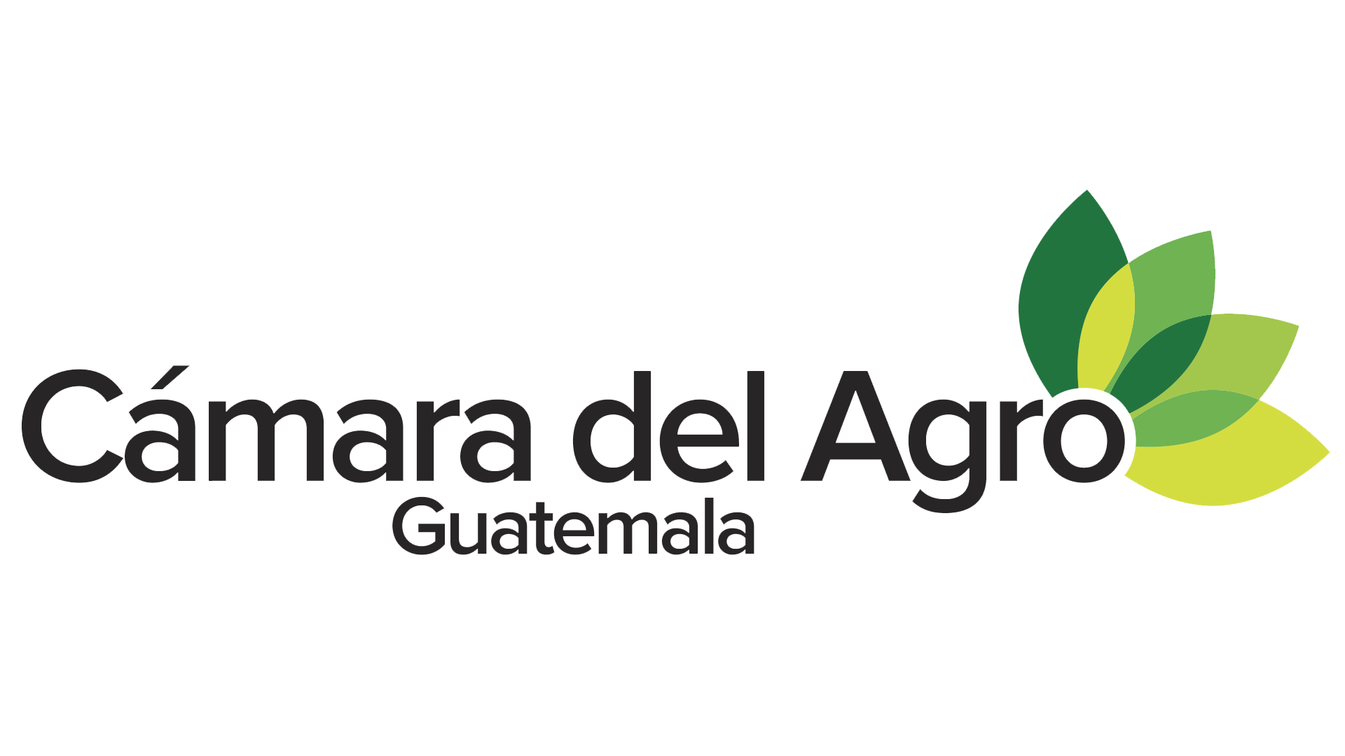 Logo CDA - Camagro