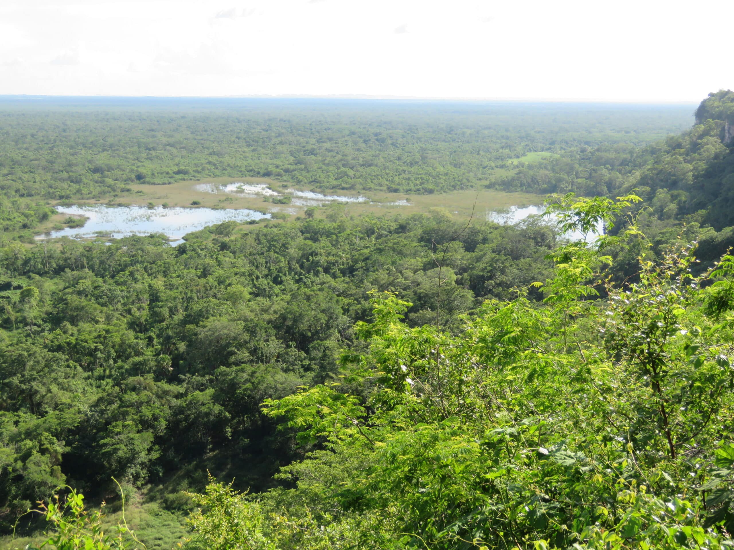 Acciones para Preservar la biodiversidad - Biosfera Maya